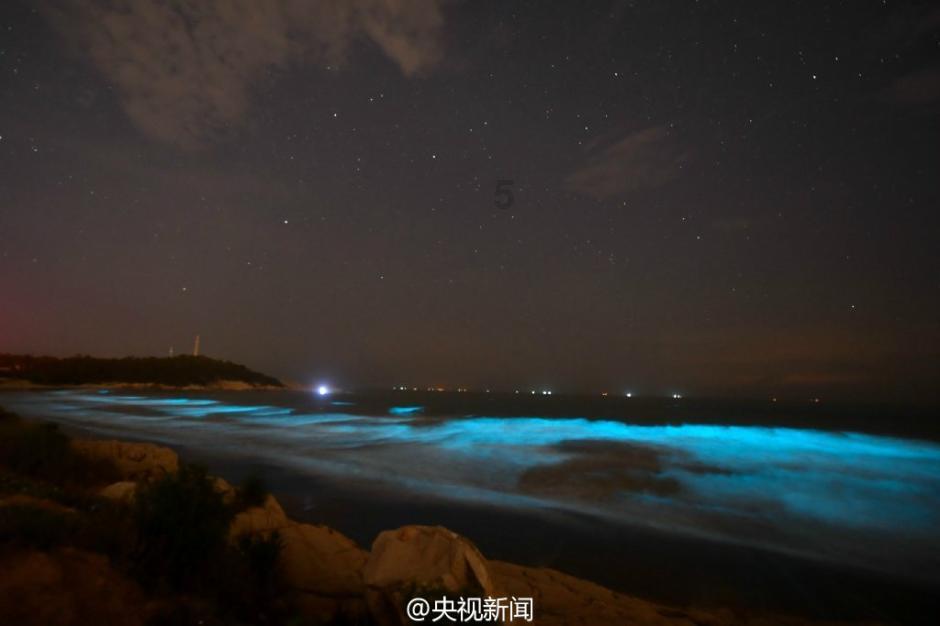 湖北有什么特产可以带走送人的游戏画面