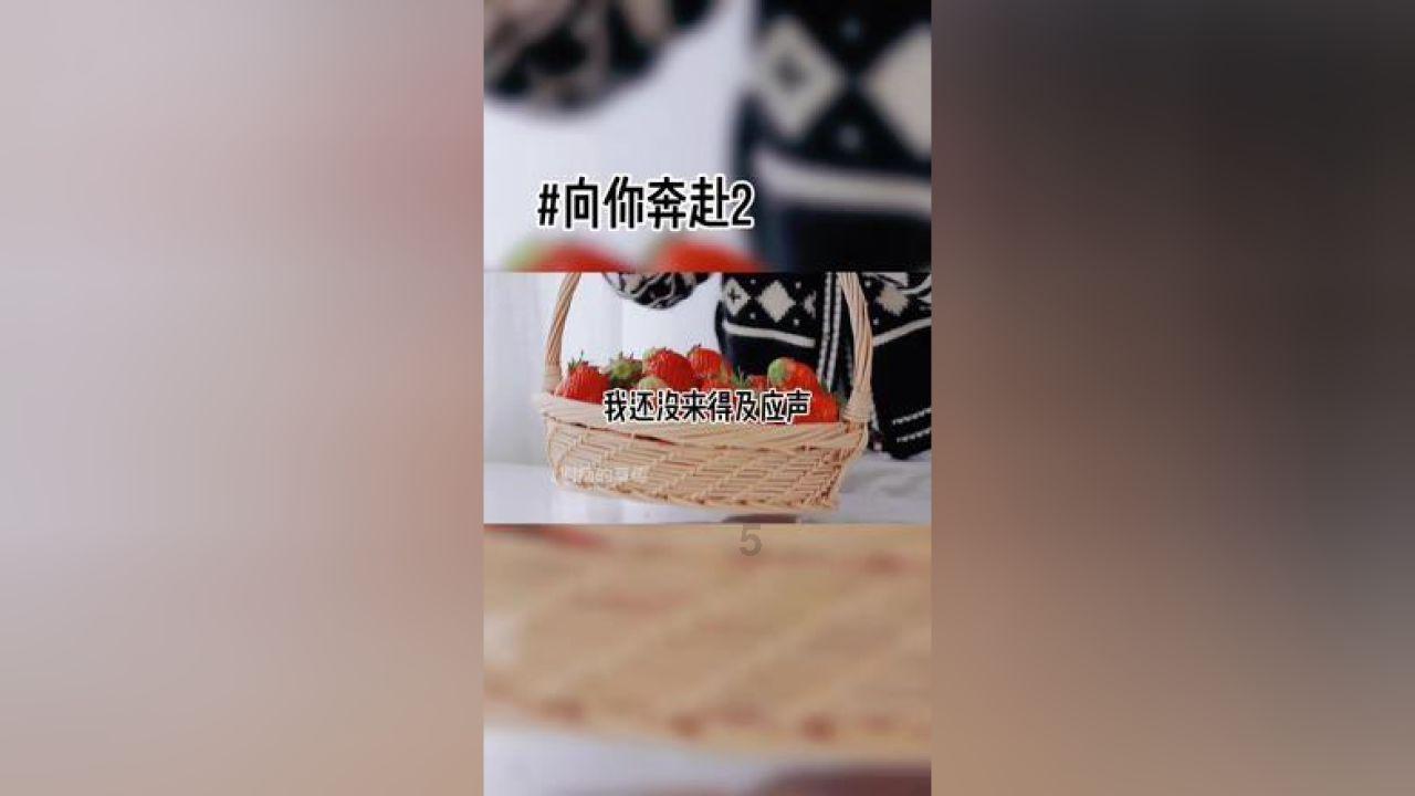 细胞分裂6