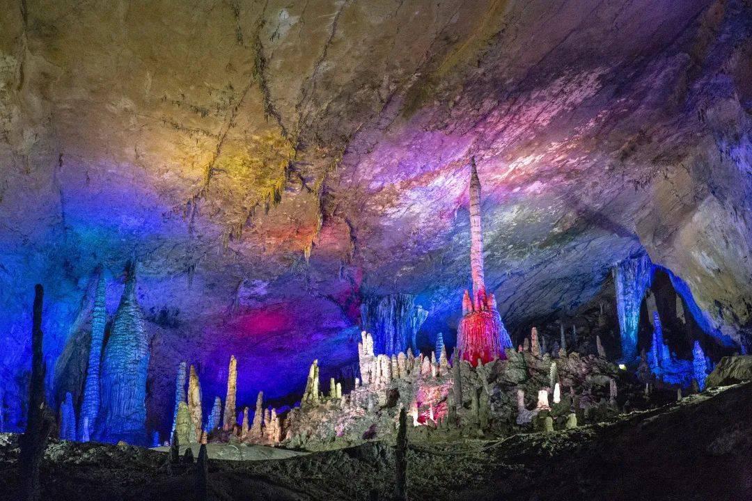动物滑动拼图