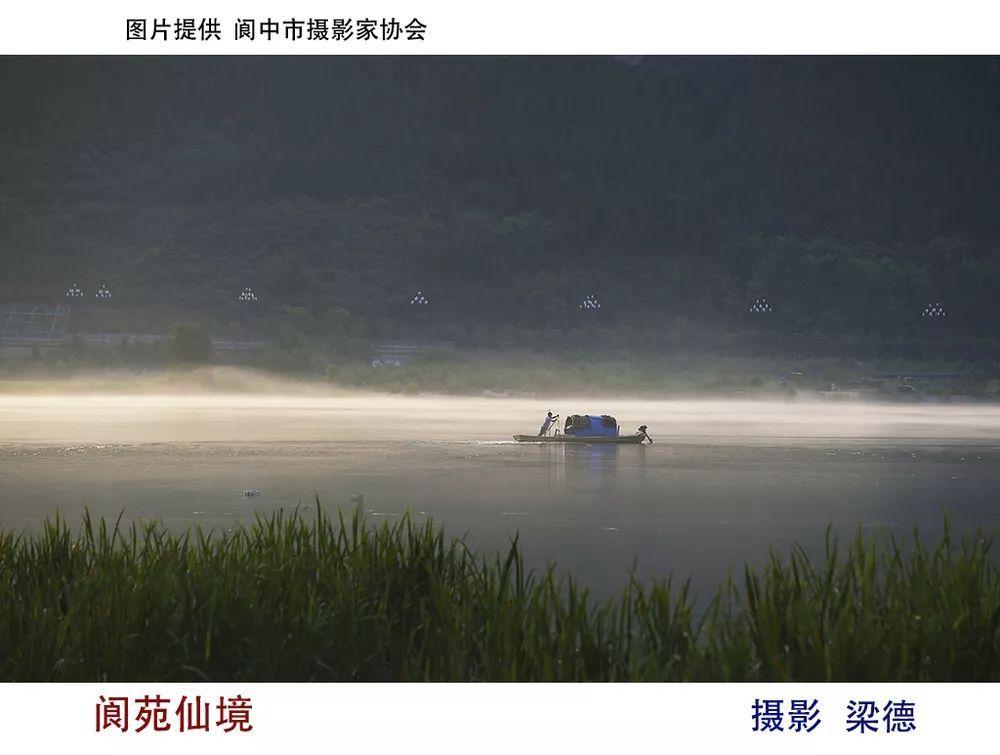 组装机械恐龙3