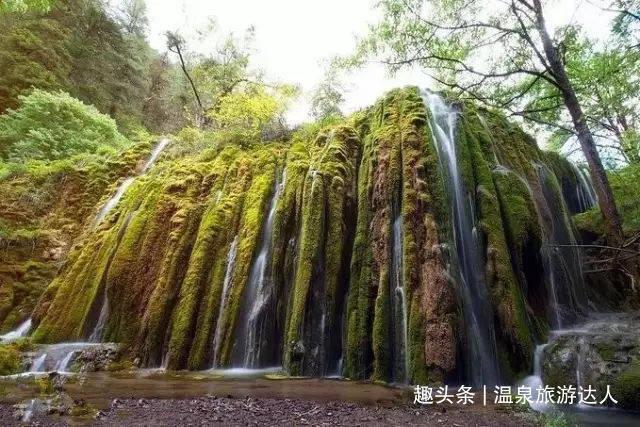 燃烧吧大脑免广告最新版