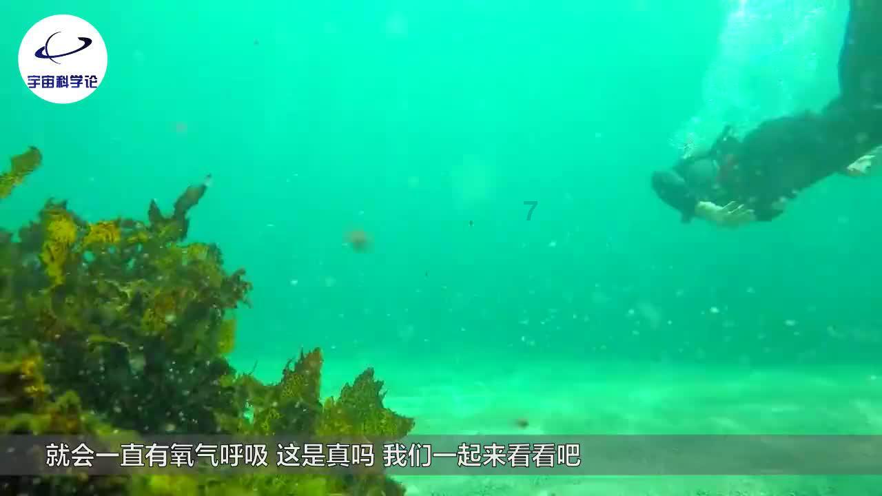 极品飞车18