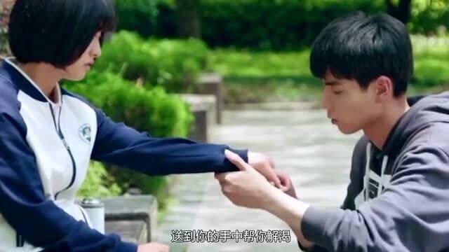虫虫助手下载
