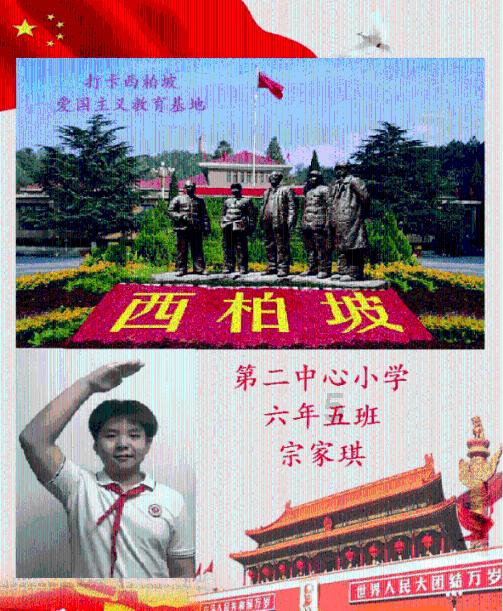卑鄙的小妖精