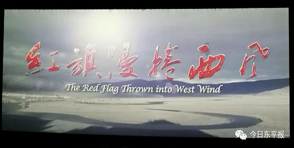 蓝狐视频