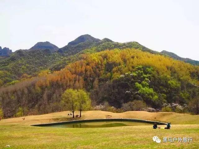首播收视第三，央视又证明了自己的眼光，这次换抗战传奇剧火了