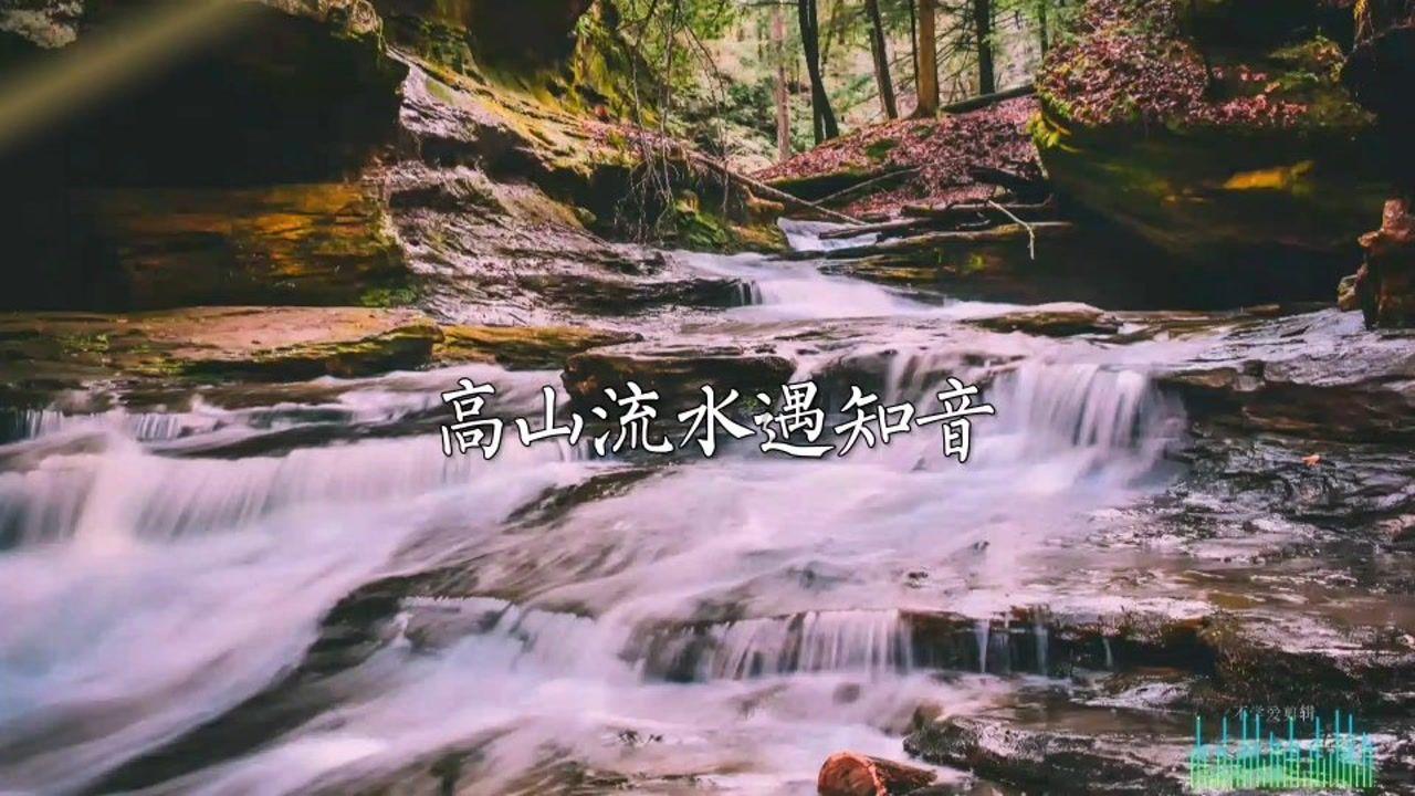 迷糊车主“丢车” 民警快速帮找回