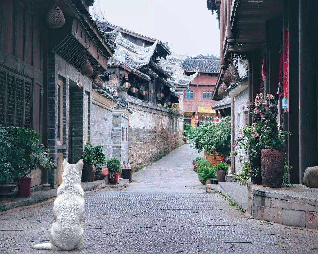 给孩子保险有用吗游戏画面